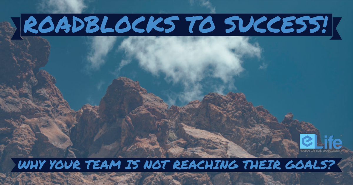 Roadblocks to success!